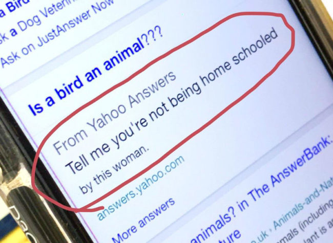 My mum tried to tell me birds weren't animals, this is what the internet said