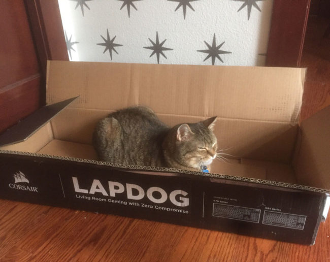 Totally not what I ordered
