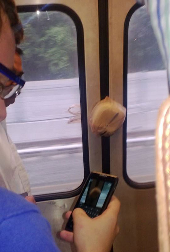 This guy's lunch made it onto the orange line without him this morning!