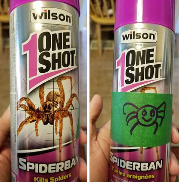 My sister's best friend has a huge fear of spiders
