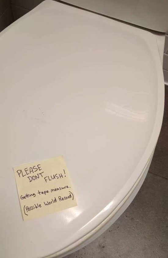 Please don't flush...