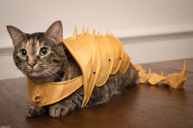 3D printed cat armor