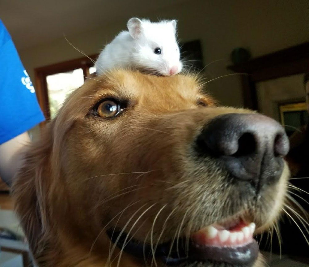 Do you like my hat?