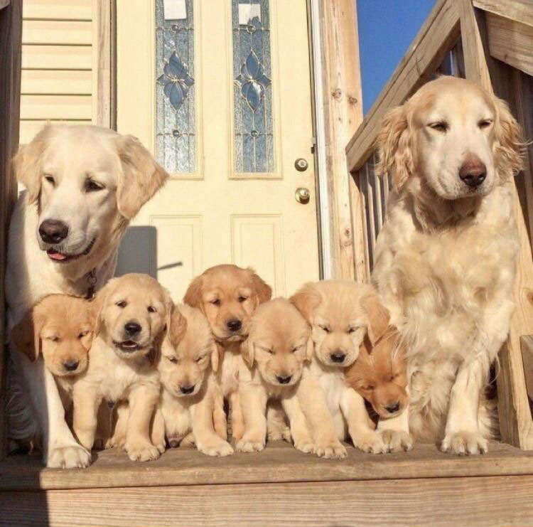 One in a million shot of the whole family
