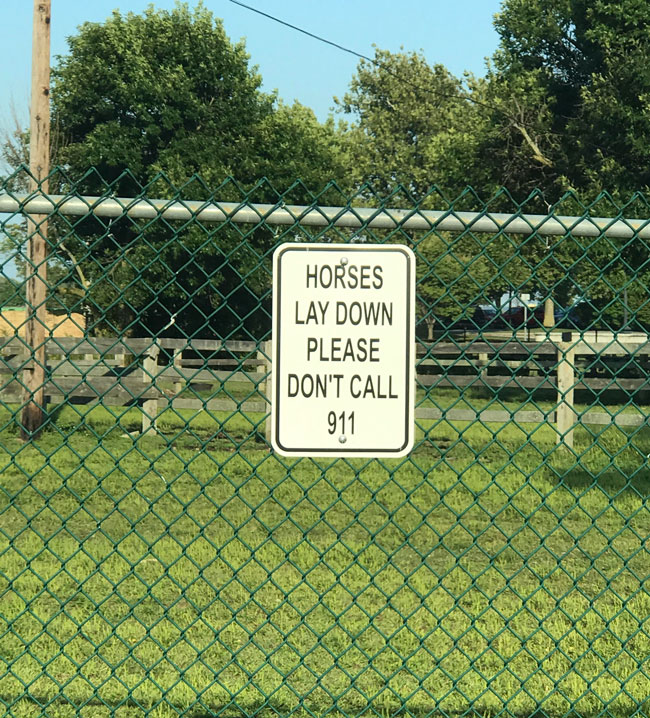 Apparently there have been calls about "dead" horses