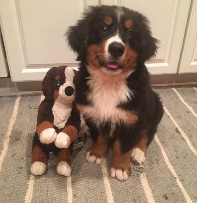 Our best buddy with his best buddy