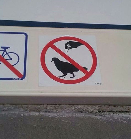 Please do not season the birds