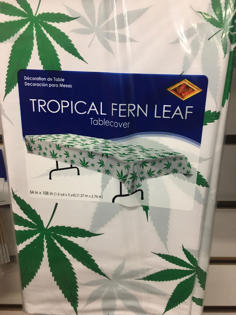 Tropical Fern Leaf