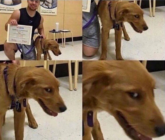When you graduated but cheated on every exam