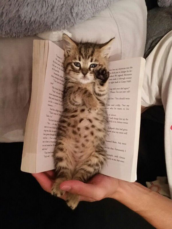 Check out this cute new bookmark I got!