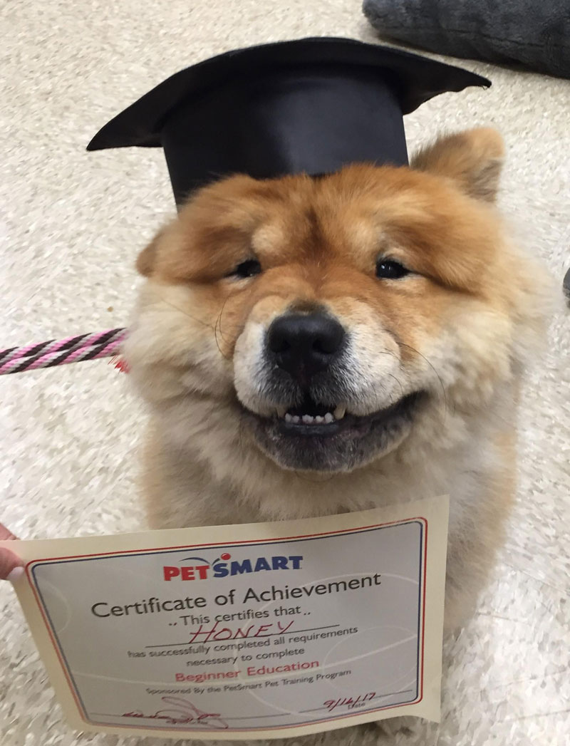 Honey graduated!