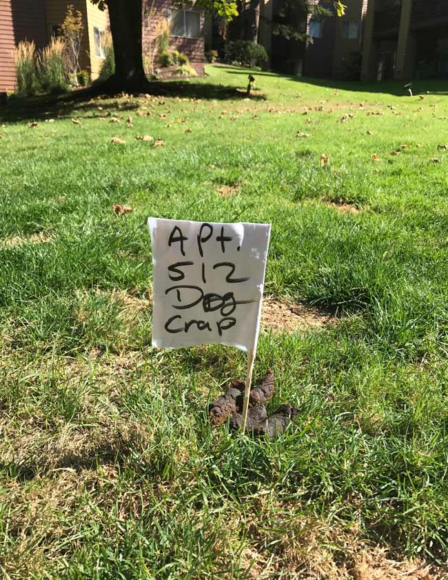 The dog poop police are active in my apartment community