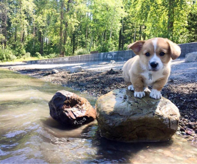 He seems a little scared of the water