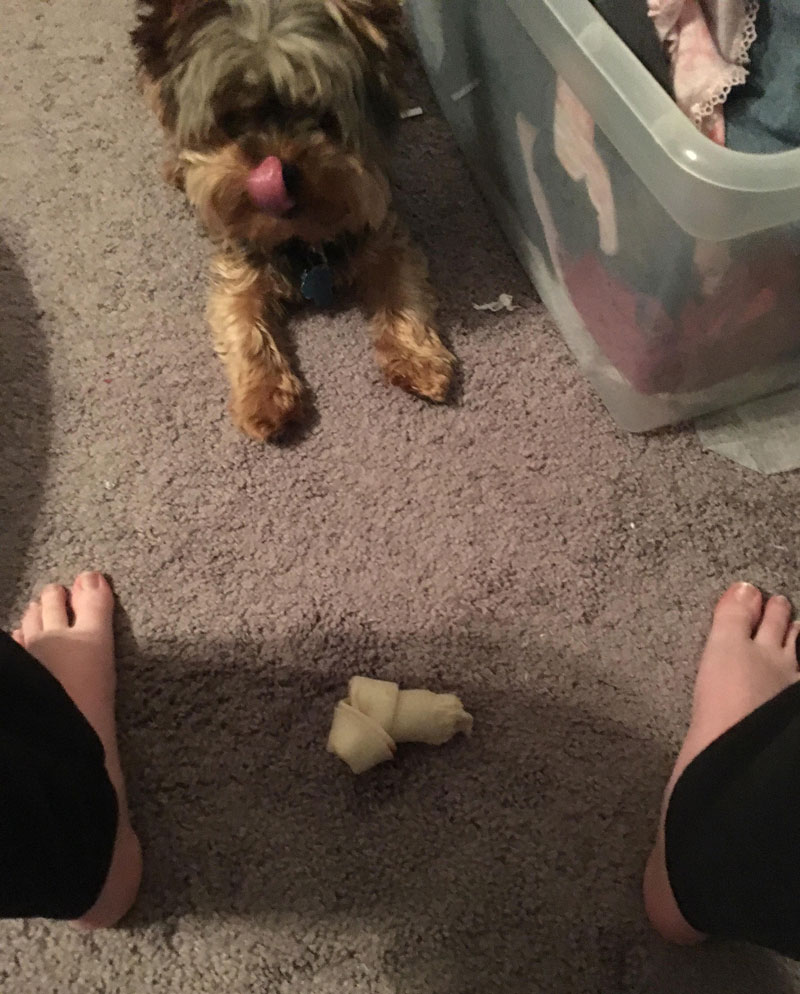 I was crying and Monty brought his bone (his favorite thing) to me and dropped it at my feet. He's never just handed over his bone before. He was trying to cheer me up. Monty is the best of boys
