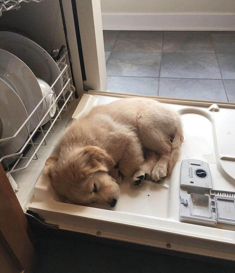 I guess I'll just wash the dishes later