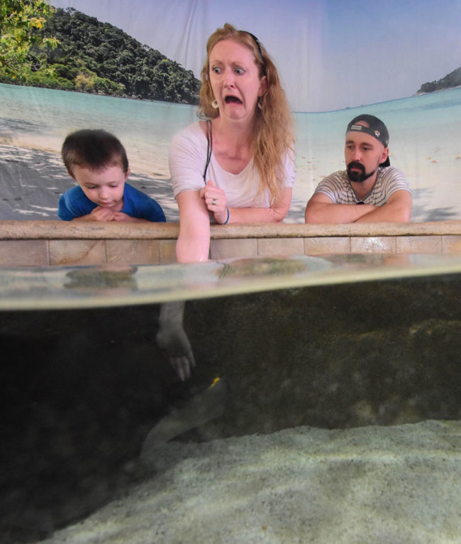 I think my wife wasn't quite prepared for the sting ray to take the food form her hand