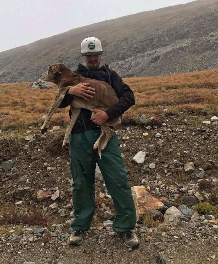 My friend read reports about a stranded dog on Mt. Bross in Colorado and proceeded to climb the mountain and rescue said dog