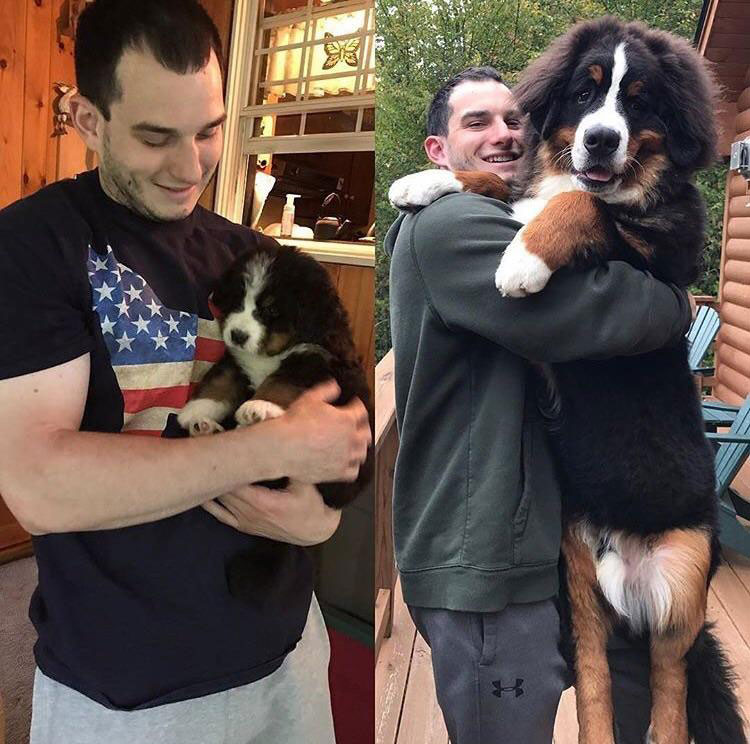 6 weeks vs. 6 months