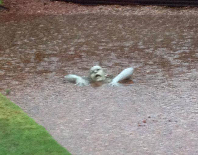 Perfectly placed lawn ornament in the Arizona floods