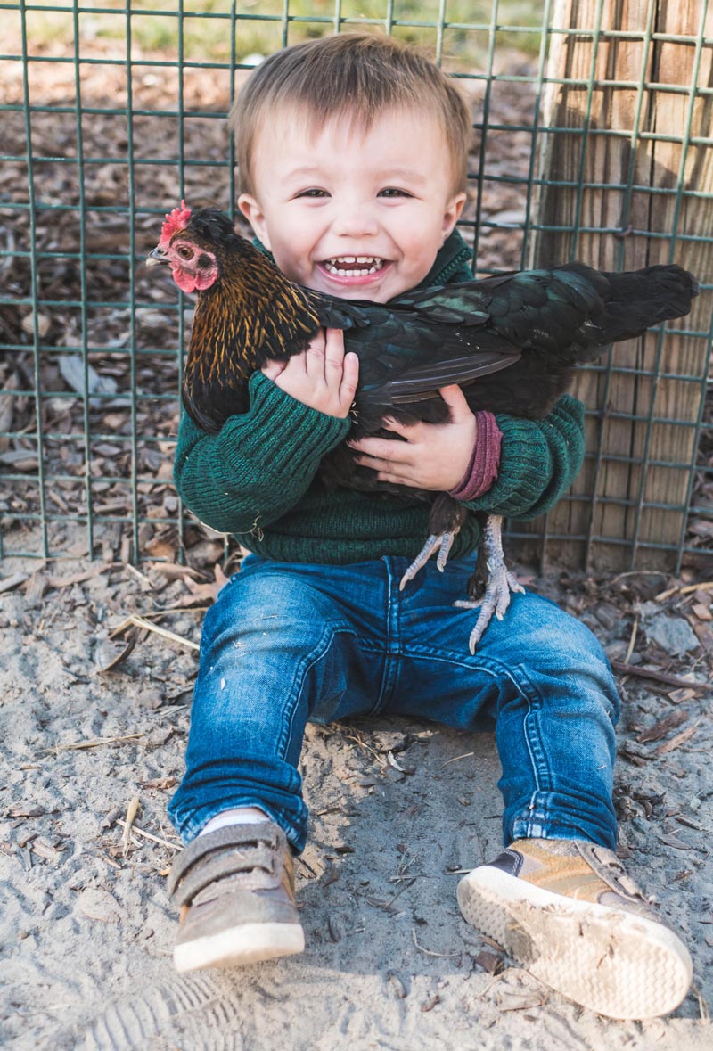 He caught his first chicken