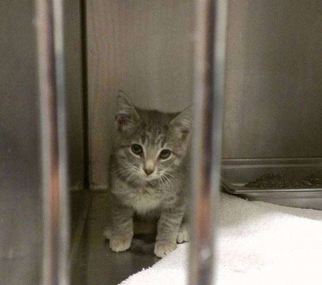 This is Rory, 30 minutes before I got to take him home