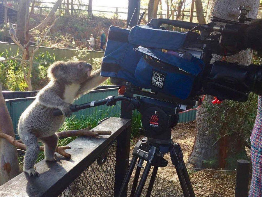 Is he even koalalified to operate that camera