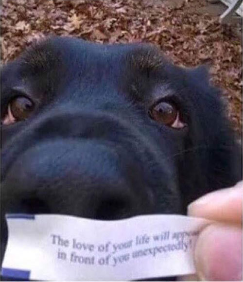 The love of your life will appear unexpectedly