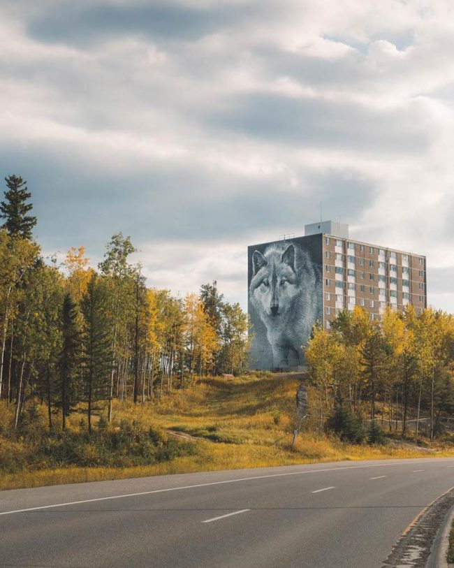 Wolf Mural in Northern Manitoba