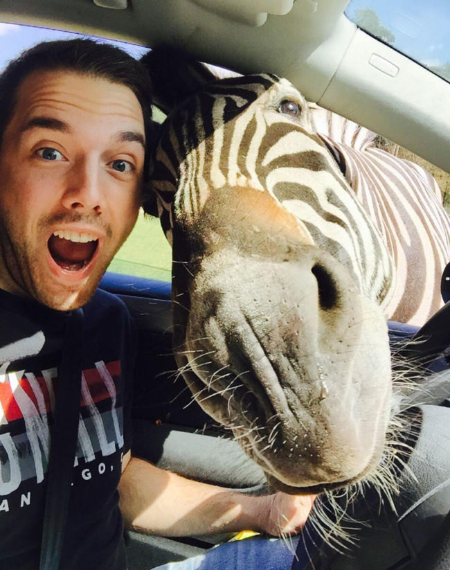 Got pulled over by a Zebra. Took a Selfie!