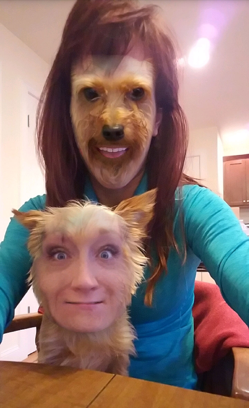 This Snapchat face swap with my Yorkie is absolutely terrifying