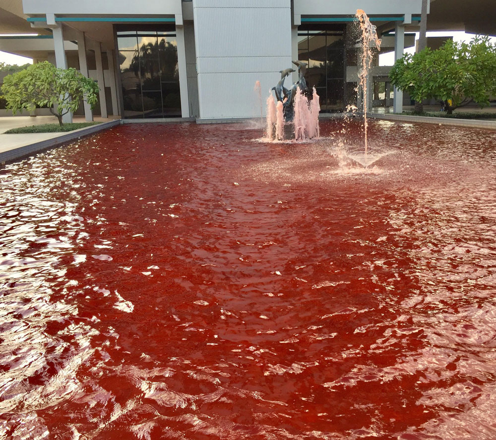 My company wanted to make our fountain pink for breast cancer awareness. Didn't.... quite get it right. Works for Halloween..