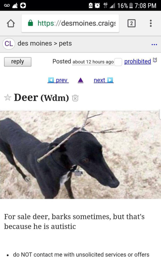 This deer for sale on Craigslist