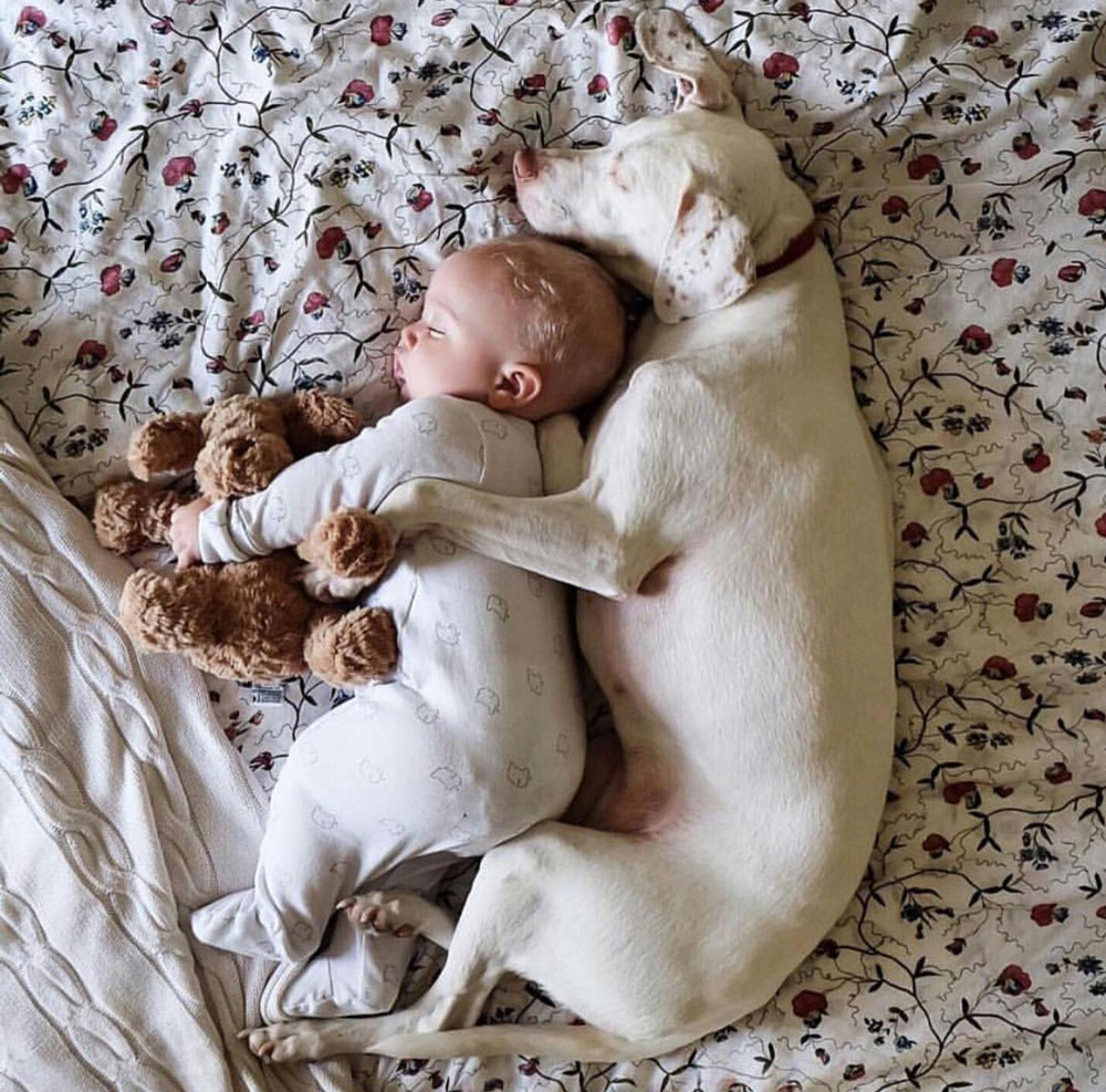 Ребенок спит с собакой