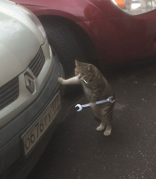 Alright, let's get that engine purrin again