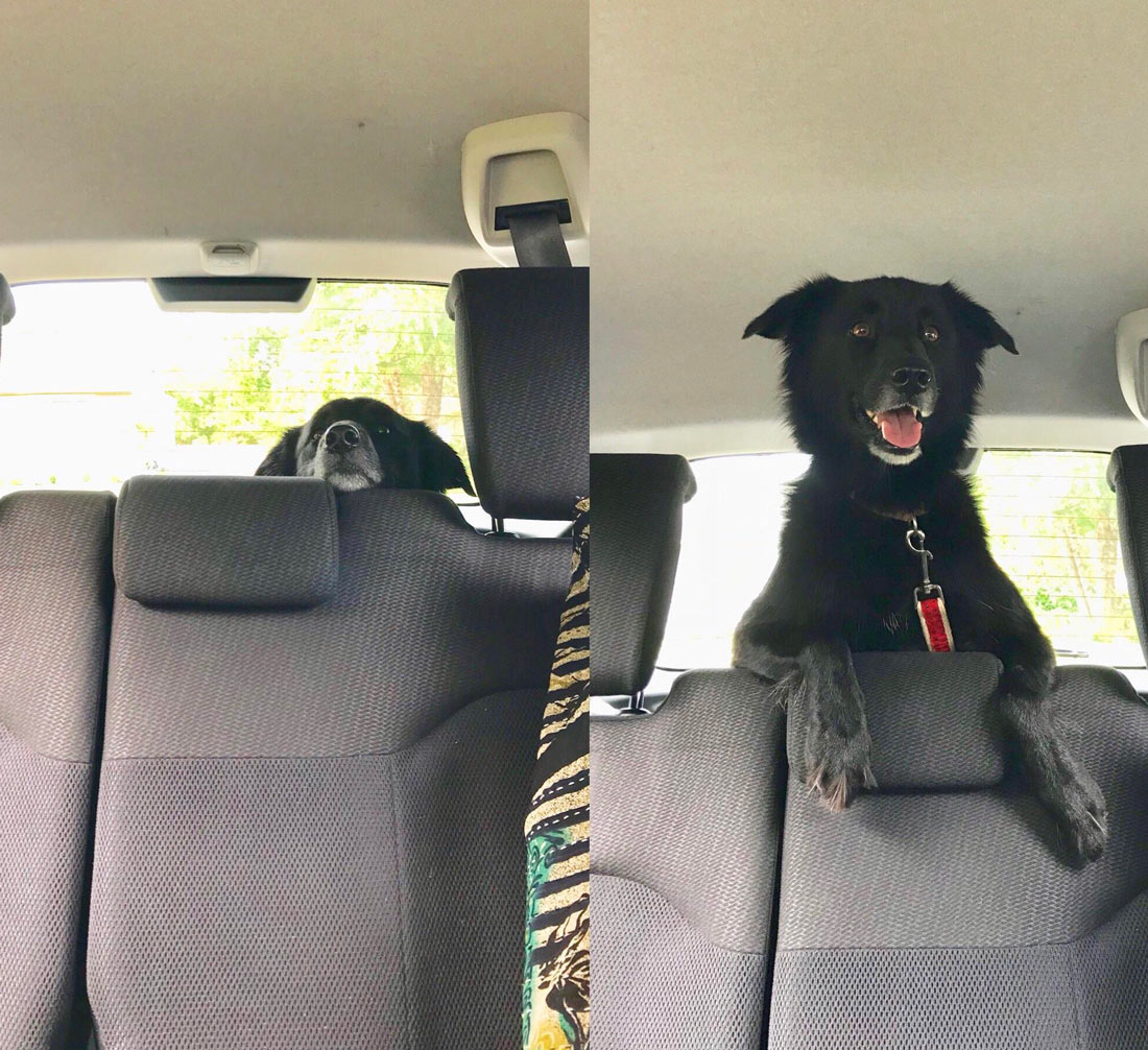 Left before finding out where we were going, right finding out we are at her favorite park