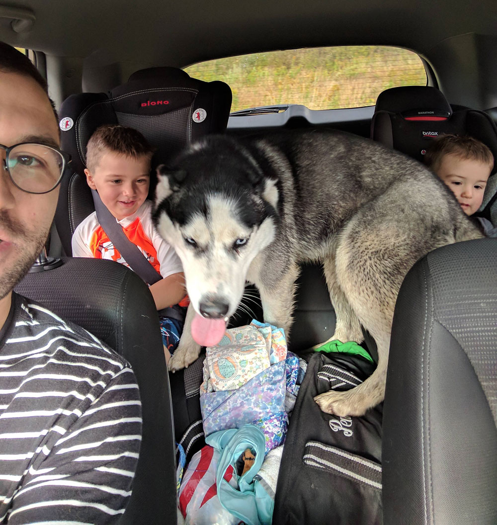 This husky just jumped into our car and started licking the kids