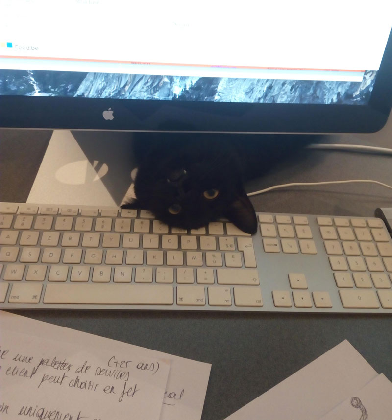 So I just started a new job... I think I already made a friend in the office!