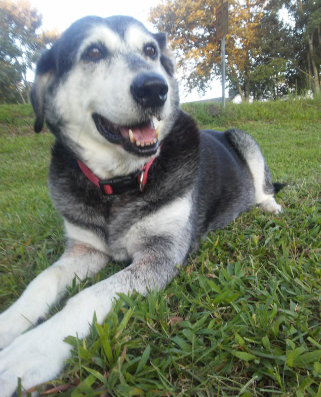 I thought I might share my pretty girl (14) with you all