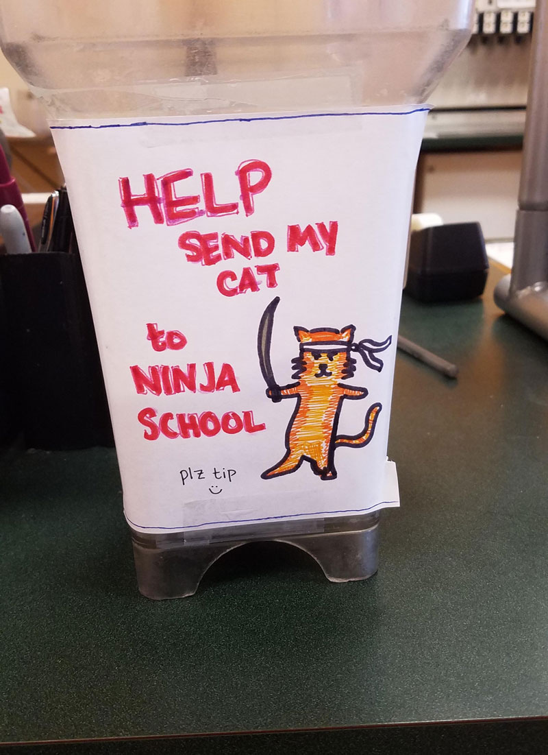 This is how you get me to tip. Who am I to stop a cat from living his dream