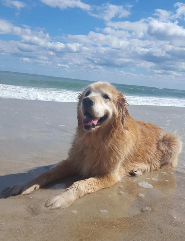 A three hour drive to the ocean is worth it for old man Stan