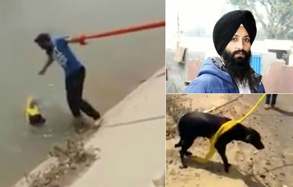 Sikh man using his turban to rescue a dog from the strong currents