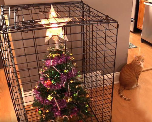 Cat-proofing Christmas