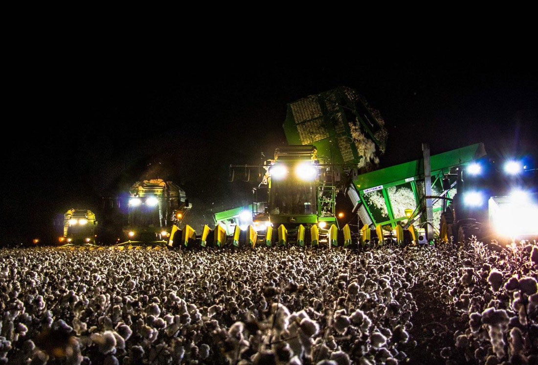 Cotton picker at night looks like a huge concert crowd