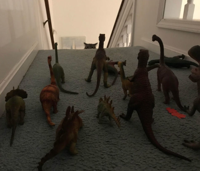 My cat was not ready for Dinovember