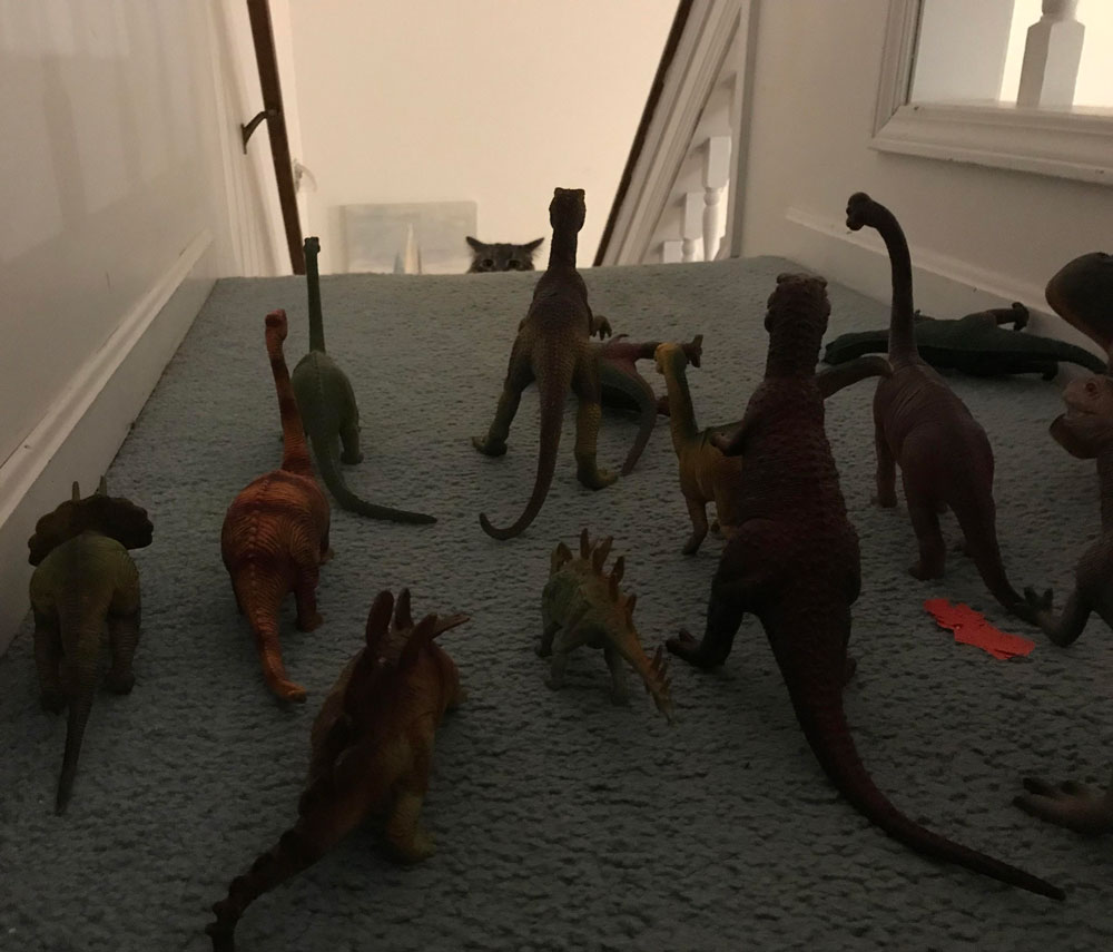 My cat was not ready for Dinovember