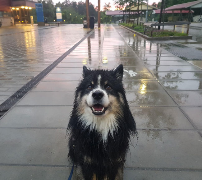 Enjoying the rain