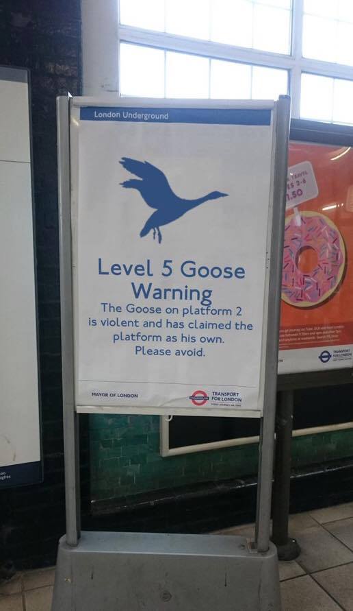 Meanwhile, in London...