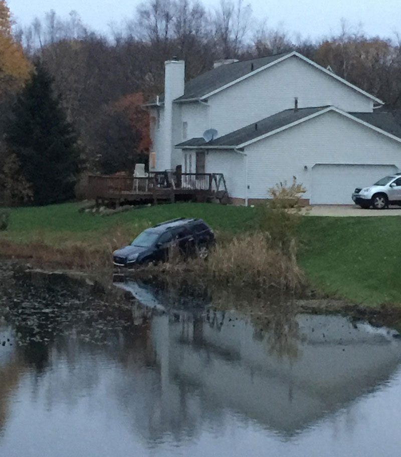 We’re truly witnessing something rare, as the wild SUV takes a drink out of the pond. It has traveled many miles to quench its thirst