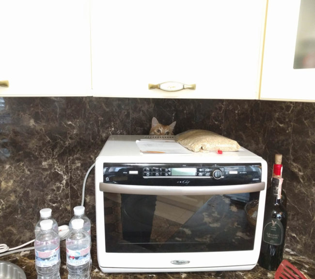 Our cat always hides when we have people over. This is one of his hiding spots