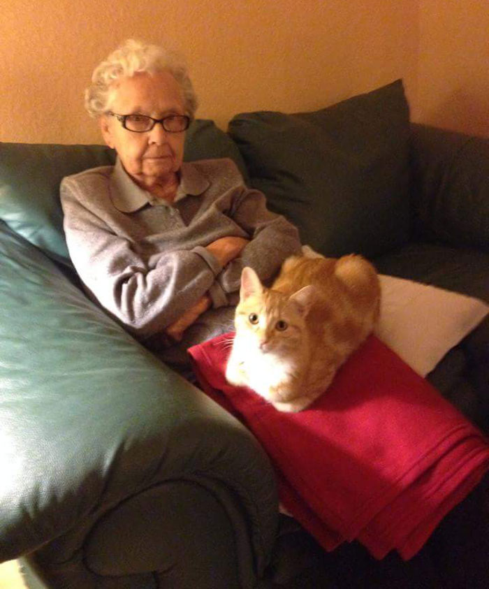 My cat loves my great grandma. The feeling isn't mutual